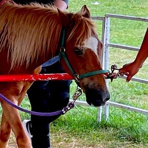 Meet your Posher, Zahida